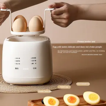 Electric Automatic Egg Boilers Commercial Hot Spring Boiled Egg