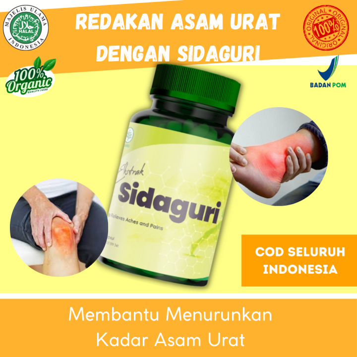 Obat Asam Urat Paling Ampuh Sidaguri Untuk Penyembuhan Penderita Asam Urat Nyeri Sendi Obat 6916