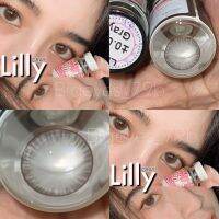 ✨Gray ขนาดมินิ Mini☀️กรองแสง uv ✔️จดทะเบียนถูกต้อง ??เลนส์สัญชาติเกาหลี??