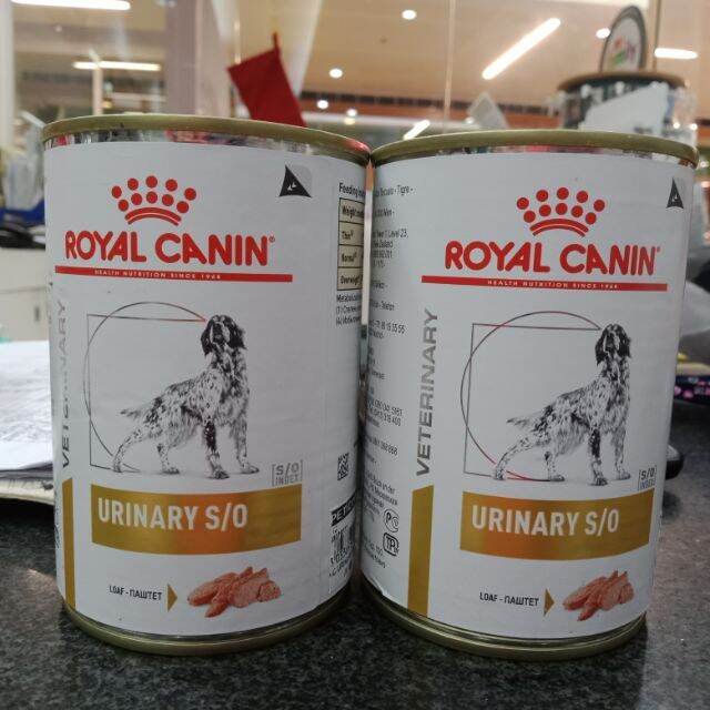 Royal Canin Urinary SO Wet Dog Food 420g Lazada PH