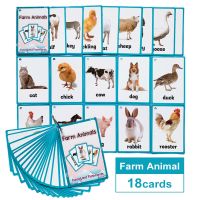 【CC】♙  Animals English Words Cards Kids Child Educational Preschool Teaching Aids Classroom