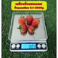 เครื่องชั่งอาหาร เครื่องชั่งดิจิตอลแสตนเลส ชั่งจุดทศนิยม 0.1-3,000g./0.01-500g.