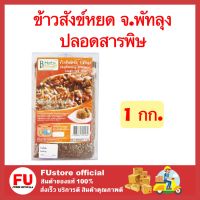 FUstore_. 1x(1 กิโลกรัม) Herb บีเฮิร์บ ข้าวสังข์หยด จ.พัทลุง ปลอดสารพิษ กับข้าวเพื่อสุขภาพ ข้าวสาร ข้าวสวย rice