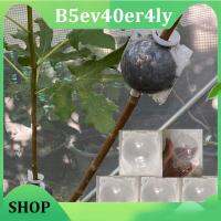 B5ev40er4ly SHOP B5ev40er4ly SHOP 5pcs 5cm Plant Tree Rooting Ball Root Box Plastic Case Transparent Flower Grafting Rooter Growing High-pressure Breeding