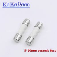 【YF】 10PCS 5x20mm Fast blow Ceramic Fuse 5x20mm 250V 0.1A 0.25A 0.5A 1A 1.5A 2A 2.5A 3A 3.15A 4A 5A 6A 6.3A 8A 10A 15A 16A 20A 25A30A