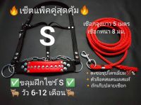 ขลุมวัวฝึกเข้าหนังแท้+สายจูงวัว+ตะขอเงิน/เม่าวัว.เค่าวสายจูงเชือกในล่อนแท้หนา 8 มม ยาว 5 เมตร+แพ็คคู่สุดคุ้ม ขลุมวัวโซ่ชุปโคลมเมี่ยม