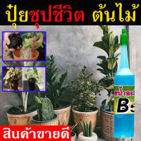 ✨ส่งทุกวัน? ปุ๋ยน้ำ B5 (1 ขวด ) ปุ๋ยบำรุงต้นไม้ ใช้ได้ 7-10 ครั้ง ขนาด 40 ml. นาโนบำรุงพืช บำรุงรากพืช ยาบำรุงต้นพืช ปุ๋ยน้ำเร่งโต
