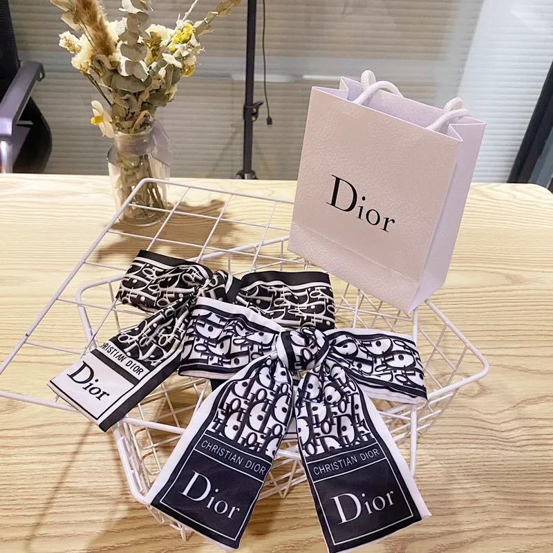 Dior NEW hair clip  Dior, Hair clips, Paper shopping bag