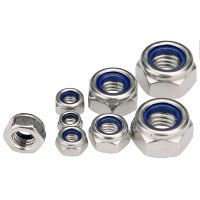 DIN985 M2 M2.5 M3 M4 M5 M6 M8 M10 M12 M14 M16 M20 304 Stainless Steel Hex Hexagon Nylon Lock Nuts