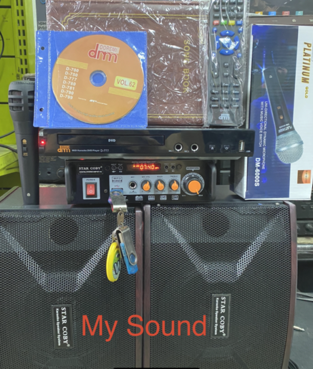 Home professional karaoke speaker System (rechargeable amplifier and