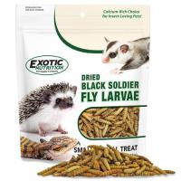 Exotic Nutrition EN Black Soldier Fly Larvae หนอนเสือดำ หนอนแมลงวันลาย