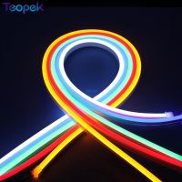 5m Flex Neon Light SMD2835 120leds/m LED Lighting 6*12mm color surface dress LED Strip rope Light Waterproof