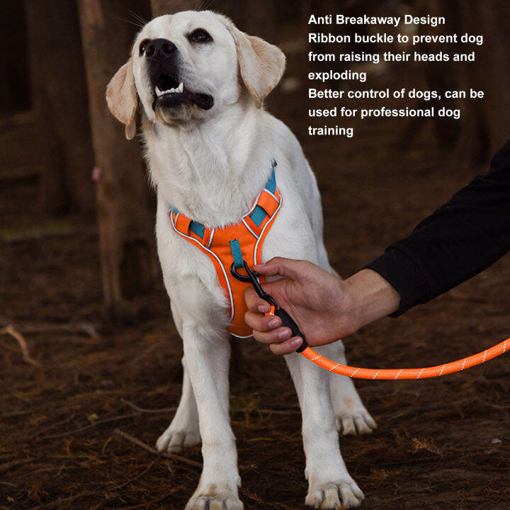 Dog Chest Strap Adjustable Back Night Safe Pet Harness for Medium and