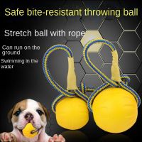 【YF】✟❈  Dog Training Bouncy Balls Rubber with Rope Wonder Large Dogs Retriever Gnawing Styrofoam