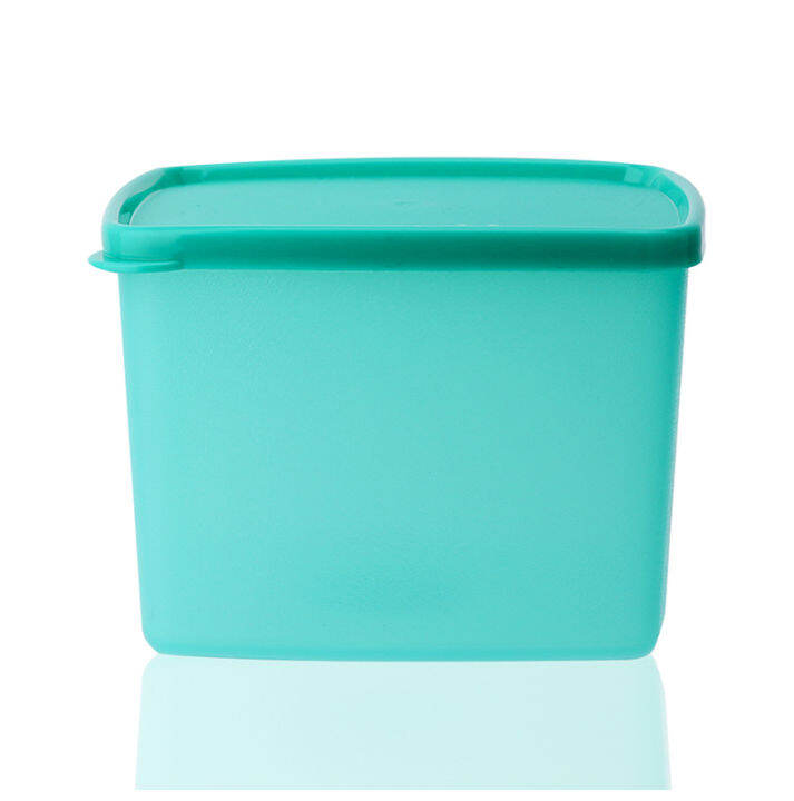 tupperware-กล่องเหมันต์กลาง-4