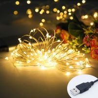 【✲High Quality✲】 na07037036036666 พวงราว Usb ยาว10เมตรไฟ Led กันน้ำสายทองแดงการตกแต่งงานเลี้ยงฉลองแต่งงานกลางแจ้งไฟ Fairy วันหยุด