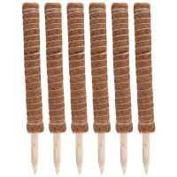 Extended Coir Moss Totem Pole, Coco Coir Poles Coconut Fibre Support Stake, Plant Support Pole 6PCS