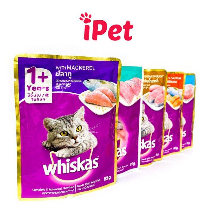 Pet shop perto de mim - IPetshop