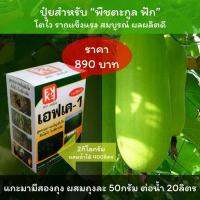 ปุ๋ยสำหรับฟัก ปุ๋ยน้ำ FK-1 ประสิทธิภาพสูง ประหยัด ทดแทนปุ๋ยเม็ด ลดต้นทุนเพิ่มผลผลิต พืชตระกูลฟัก ฟักเขียว โปรดอ่านวิธีใช้