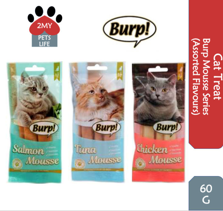 BURP CAT TREAT FOOD MOUSSE SERIES ASSORTED FLAVOURS 60g (4x15g) Lazada