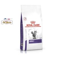 นาทีทองลด 50% แถมส่งฟรี ใหม่☞Royal Canin Cat Adult อาหารแมวสำหรับแมวโตเต็มวัย 2 kg