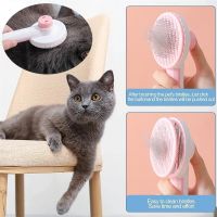 Pet Supplie Cat Brush Pet Comb Self Cleaning Slicker Brush Remove Hair Grooming Brush Pet Dematting Comb Beauty Slicker Dog Comb