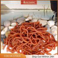 ENCOUNT 100pcs กลิ่นคาวๆ หนอนเหยื่อแดง แท็กเกิล 3.8/5/6/8ซม. Bloodworm 2023 บรีม เหยื่อล่อตกปลา ตัวจับปลา