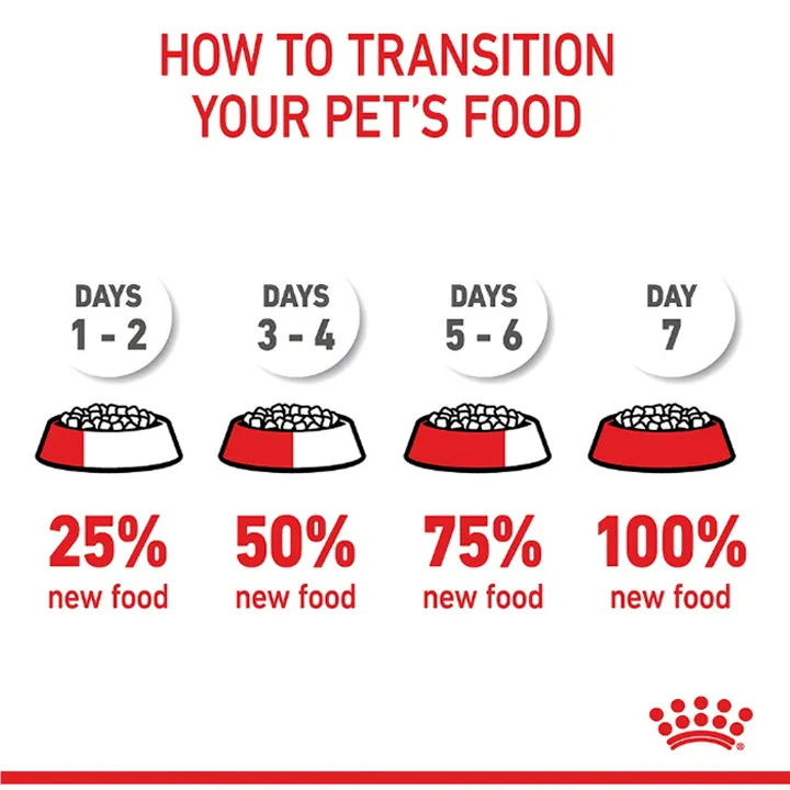 royal-canin-sensory-taste-chunks-in-gravy-12-ซอง-อาหารแมวโตช่างเลือก-กระตุ้นการกินด้วยกลิ่นหอม