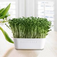 【hot】✑  Layer Design Sprouts Growing Tray Sprout Hydroponic Trays Greenhouse Crops Dropship