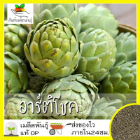 เมล็ดพันธุ์ อาร์ติโชค 30 เมล็ด Green Globe Artichoke seed เมล็ดพันธุ์แท้ นำเข้าจากต่างประเทศ100% ดอกไม้ ผัก สวนครัว ถูก