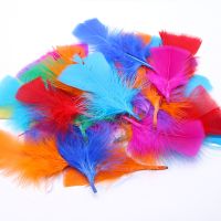 Flat Fluffy Turkey Feathers for Needlework Diy Catcher Plumes Wedding Crafts Accessories Fringes