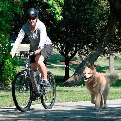 จักรยานลากจูงสุนัขเชือกจูงสุนัขยืดหยุ่นสัตว์เลี้ยง