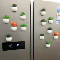 Succulents Magnetic Fridge