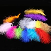 20Pcs/lot Colored Turkey Feather Marabou Feathers for Needlework 4-7 10-16CM Jewelry Decoration Handicraft Accessories