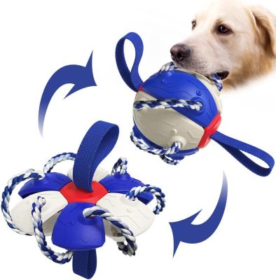 ลูกฟุตบอลฟุตบอลสุนัขแบบโต้ตอบพร้อมแท็บพองยางกัดสำหรับเด็กกลางแจ้งคอลลี่บอลส่งฟรีอุปกรณ์สัตว์เลี้ยง Yy. ร้านค้า
