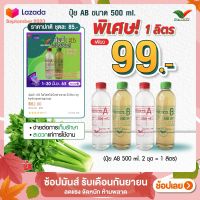 ปุ๋ย AB ชนิดน้ำ 1 ลิตร By Hydroponicgroup