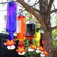 [COD] Border Hummingbird Feeder Homemade Beer Stoppers