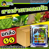 ? ?? สินค้ายกกล่อง ?? ซีซ่า (สาหร่ายทะเลสกัด) บรรจุ 100กรัม*10ซอง เร่งราก ยืดยอด แตกแขนง