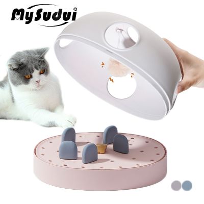 3 In 1 Pet Cat Toy Track Ball Plush Interactive Intelligence Toys For Cats Games Treat Puzzle Toy Amusing Training Katten Tunnel