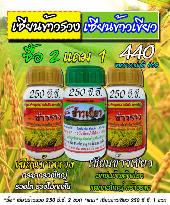 [พร้อมส่ง] เซียนข้าวรวง 250ซีซี. 2ขวดแถม เซียนข้าวเขียว 250ซีซี. ฮอร์โมนข้าว ปุ๋ยฉีดข้าว เร่งต้น เร่งใบ ปุ๋ยฉีดทางใบ ปุ๋ยน้ำ ฮอร์โมนพืช