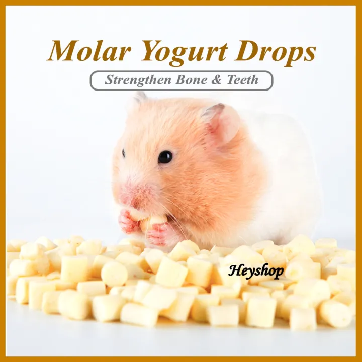 ☀Molar Yogurt Drop Cheese Cube 45g Small Animal Snack Sugar Glider