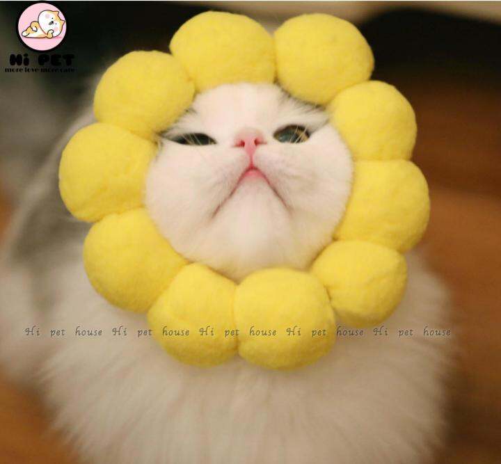 milly-house-อุปกรณ์สัตว์เลี้ยง-pet-headdress-sunflower-ดอกทานตะวันหมวกแมว-หมวกสุนัข-สร้อยคอแมว-สร้อยคอสุนัข-l-10-20