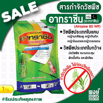 อาทราซีน 80 ตราหมาแดง (Atrazine 80 WP) 1 kg. ( ยาคุมหญ้า สารกำจัดวัชพืช กำจัด ศัตรูพืช พงษ์เกษตรอุตรดิตถ์ )