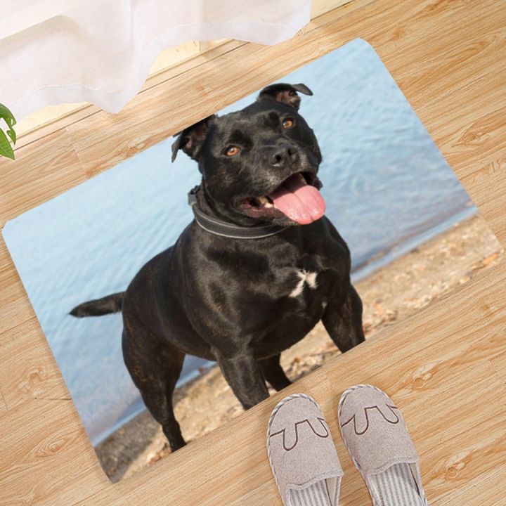 germany-dachshund-doormat-3d-decor-print-pet-carpet-soft-flannel-non-slip-doormats-for-bedroom-porch
