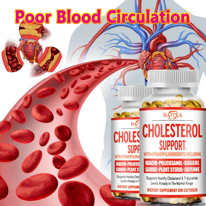 Cholesterol Support Supplement for Men and Women, Garlic Natural