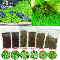 Lovinland 6สไตล์ปลูกง่าย Mini Leaf Aquarium Plant ตกแต่ง Waterweed Glossostigma Hemianthus Aquarium ถังน้ำพืชหญ้าสนามหญ้า