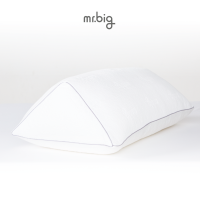 หมอนรองขา MR.BIG Leg Pillow