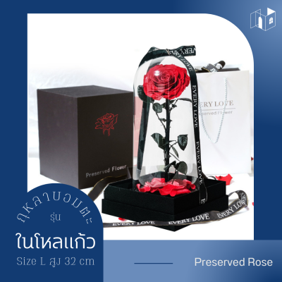 กุหลาบในโหลแก้ว Size L สูง 32 cm Preserved Rose ของขวัญครบรอบ กุหลาบอมตะ ของขวัญให้แฟน ดอกกุหลาบ กุหลาบสดในโหลแก้ว【ของแท้】