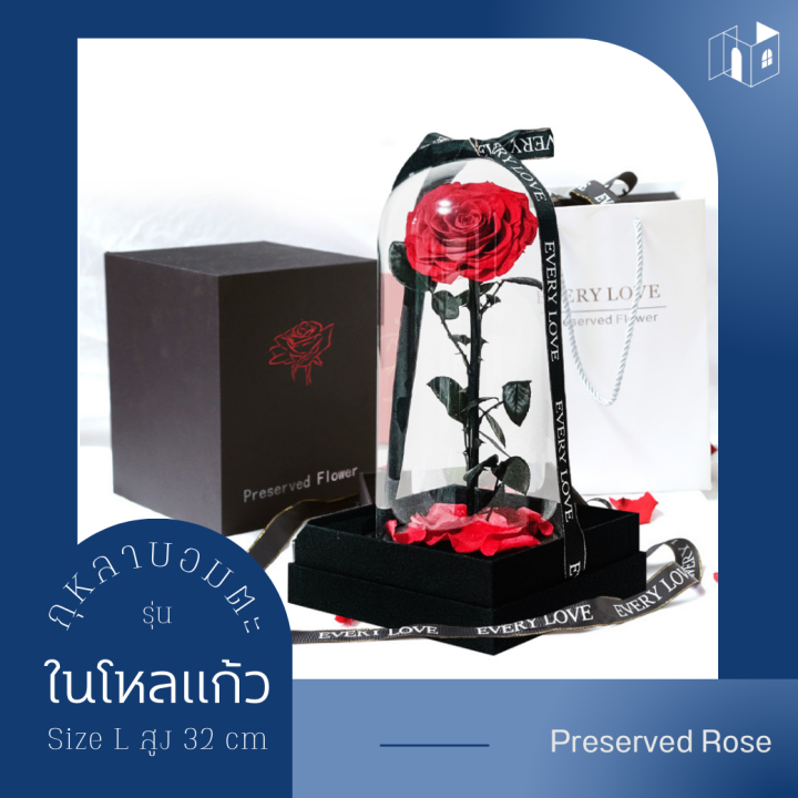 กุหลาบในโหลแก้ว-size-l-สูง-32-cm-preserved-rose-ของขวัญครบรอบ-กุหลาบอมตะ-ของขวัญให้แฟน-ดอกกุหลาบ-กุหลาบสดในโหลแก้ว-ของแท้