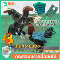 WA+Thai ฝึกไก่ชน กระสอบทรายฝึกชนไก่ อุปกรณ์ไก่ชน อุปกรณ์การชนไก่ ผ้านวมพันแข้งไก่ชน กระสอบทรายหลังไก่ชน ออกกำลังกายไก่ การแข่งขันไก่